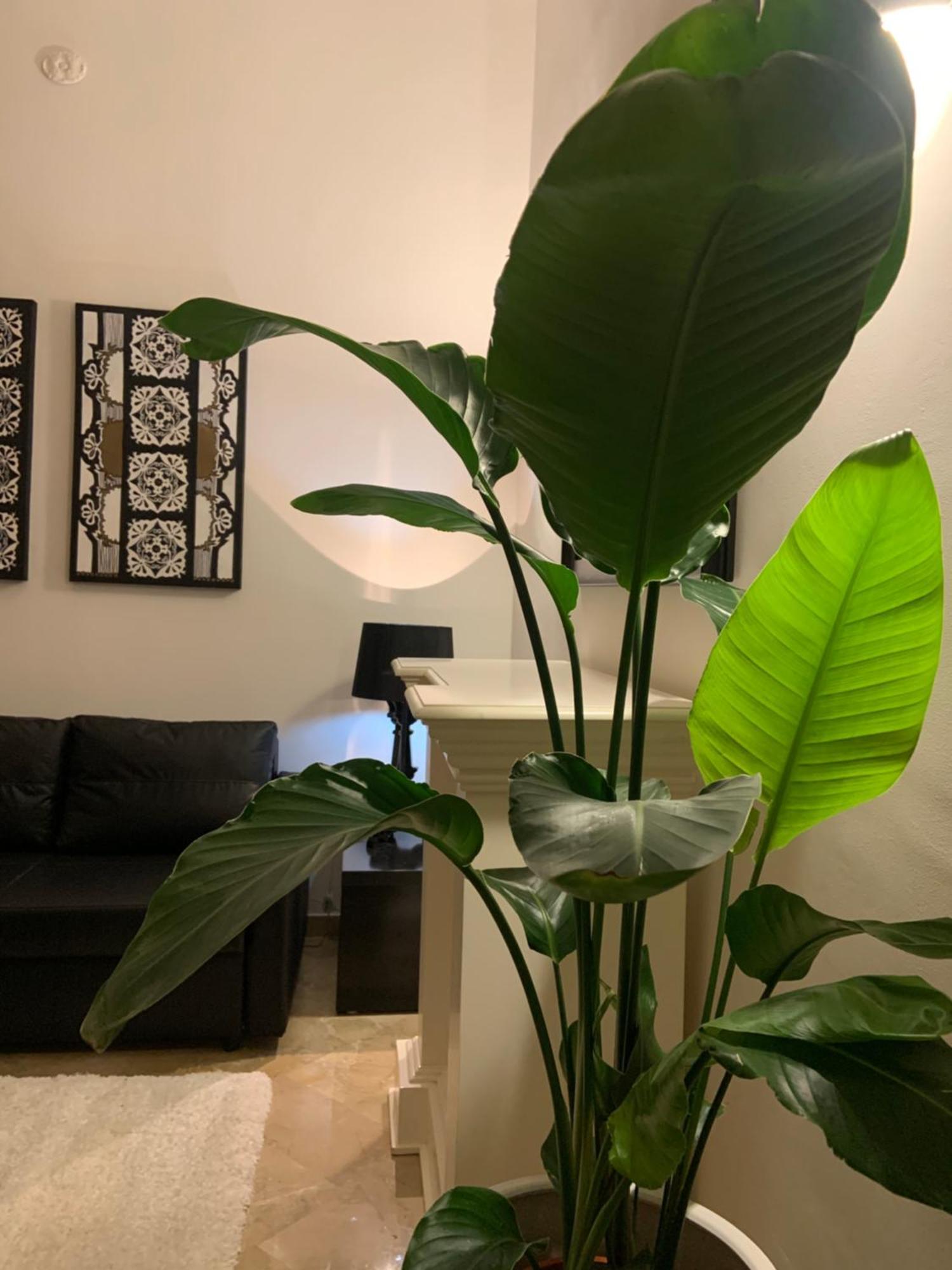 Bari Downtown Luxury Apartment Dış mekan fotoğraf